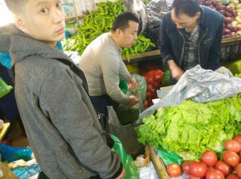 十年堅持，新鮮直達——哈爾濱柱子精準蔬菜配送，守護您的餐桌每一天